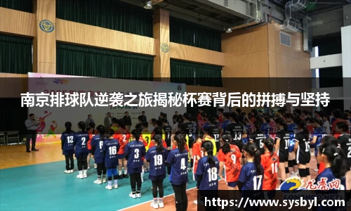 南京排球队逆袭之旅揭秘杯赛背后的拼搏与坚持
