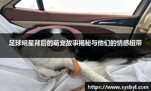 九游体育登录入口